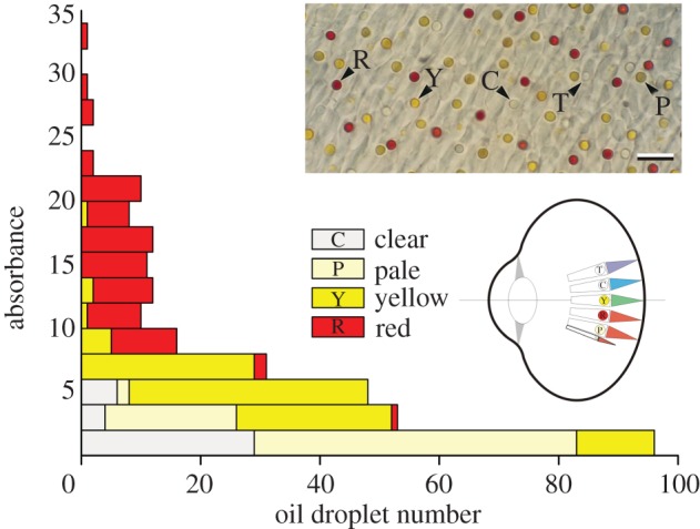 Figure 1.