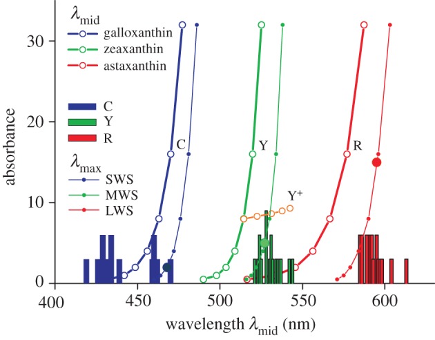 Figure 6.