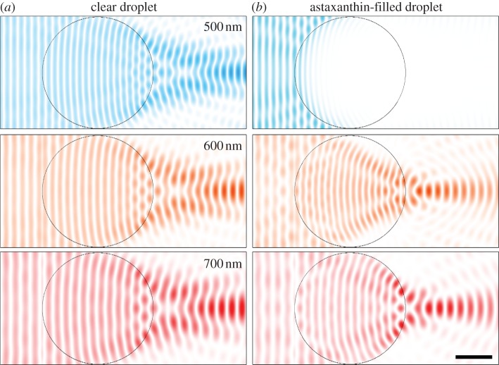 Figure 3.