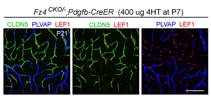 Figure 1—figure supplement 2.