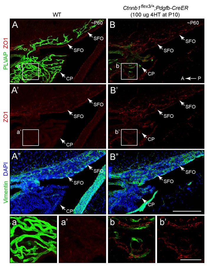 Figure 2—figure supplement 2.