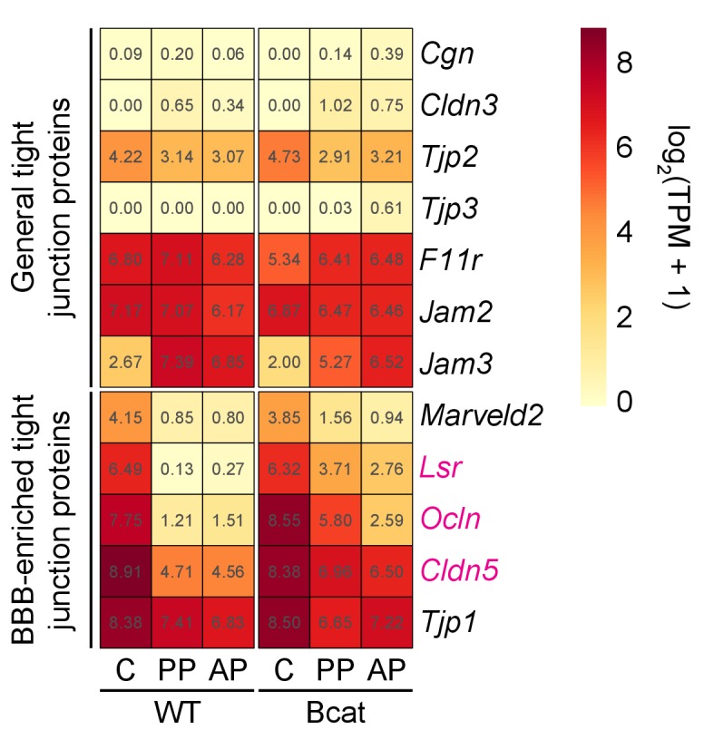 Figure 6—figure supplement 2.