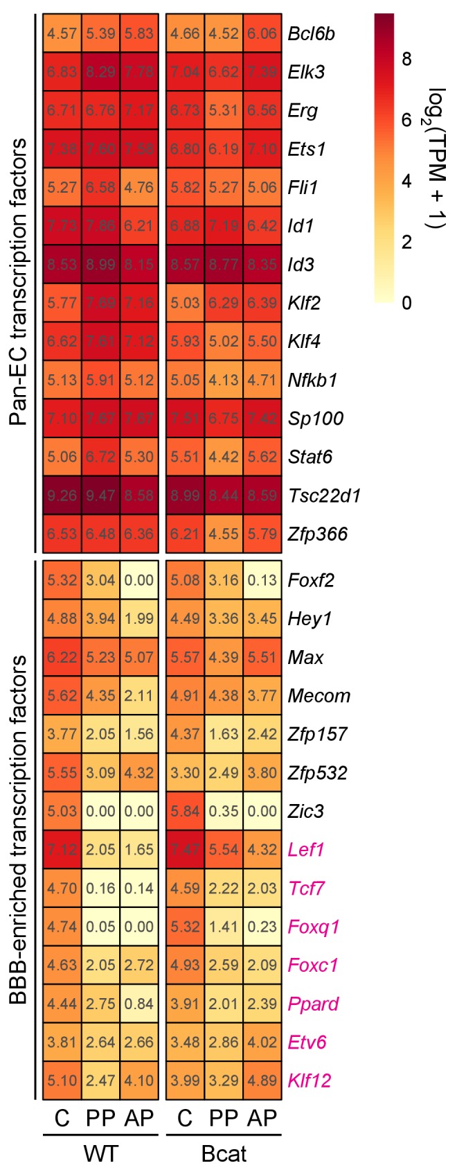 Figure 6—figure supplement 3.