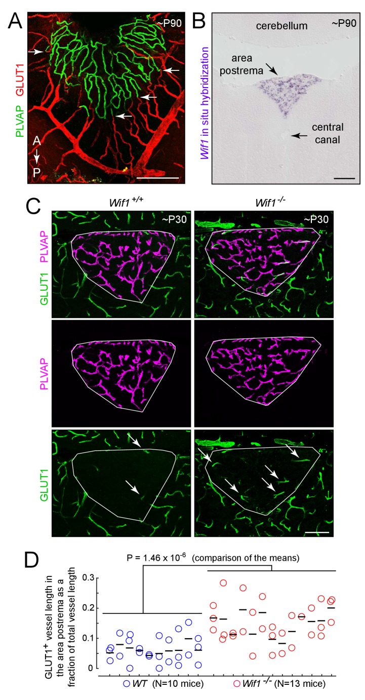 Figure 10.