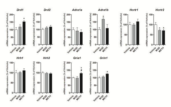 Figure 6: