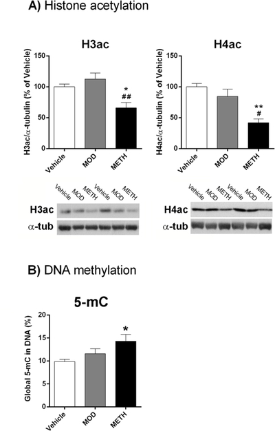 Figure 4: