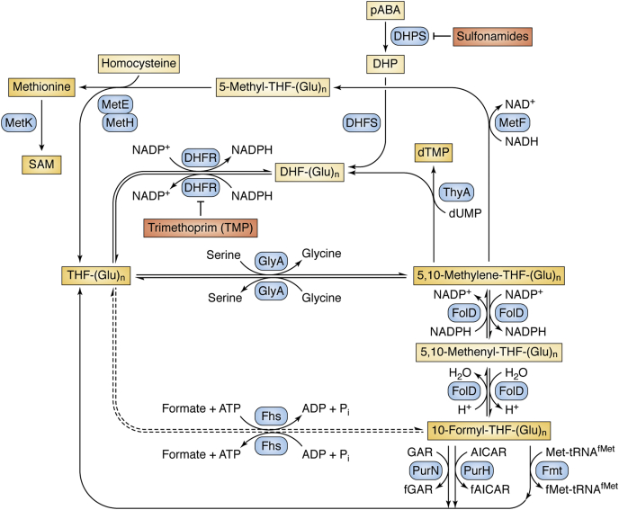 Figure 2