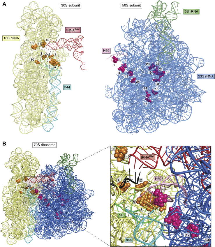 Figure 4