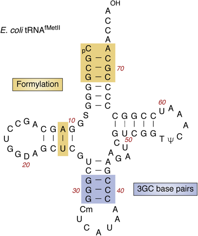 Figure 5