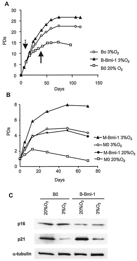 FIG. 7.