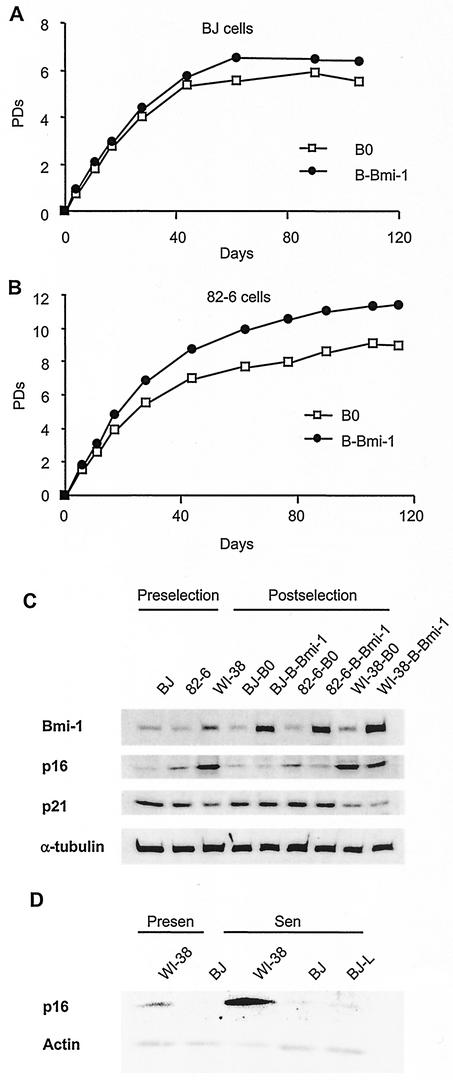 FIG. 8.