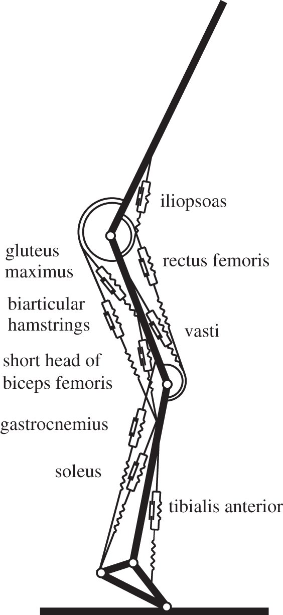 Figure 1.