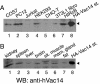 FIG. 2.