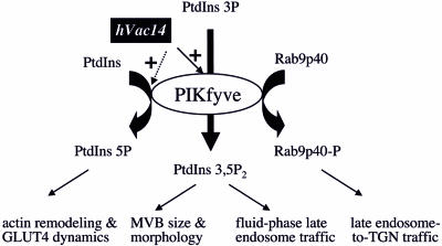 FIG. 10.