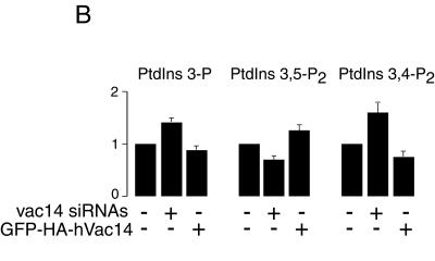 FIG. 8.