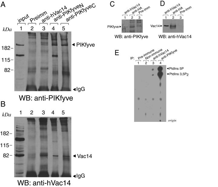 FIG. 9.