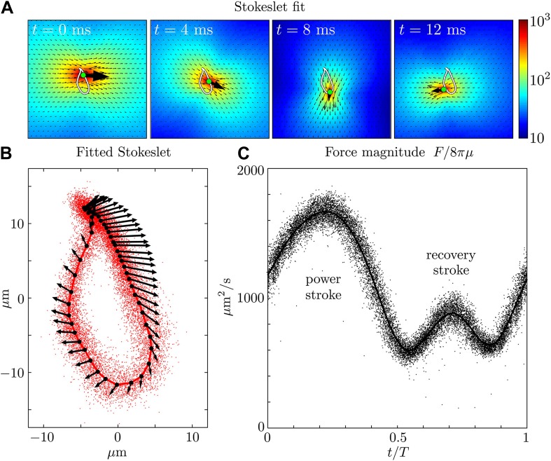 Figure 3.