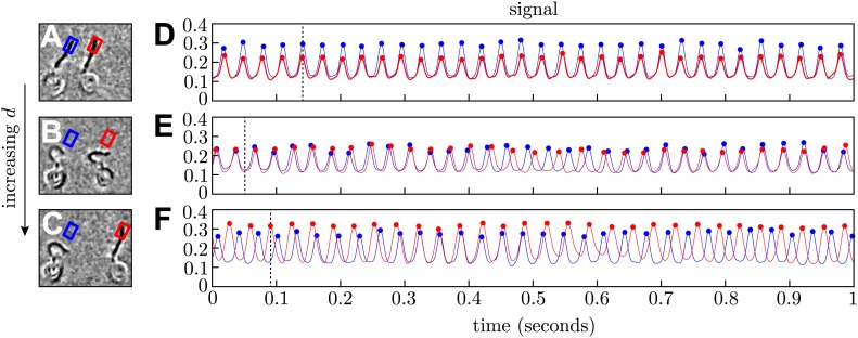 Figure 1—figure supplement 1.