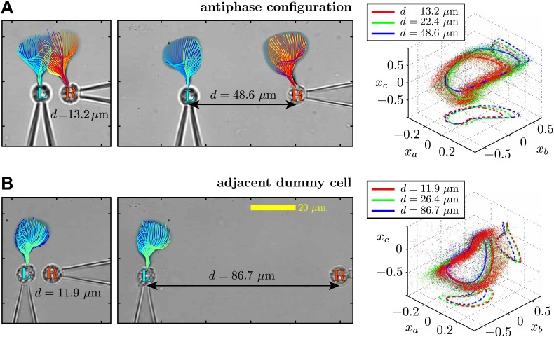 Figure 6—figure supplement 1.