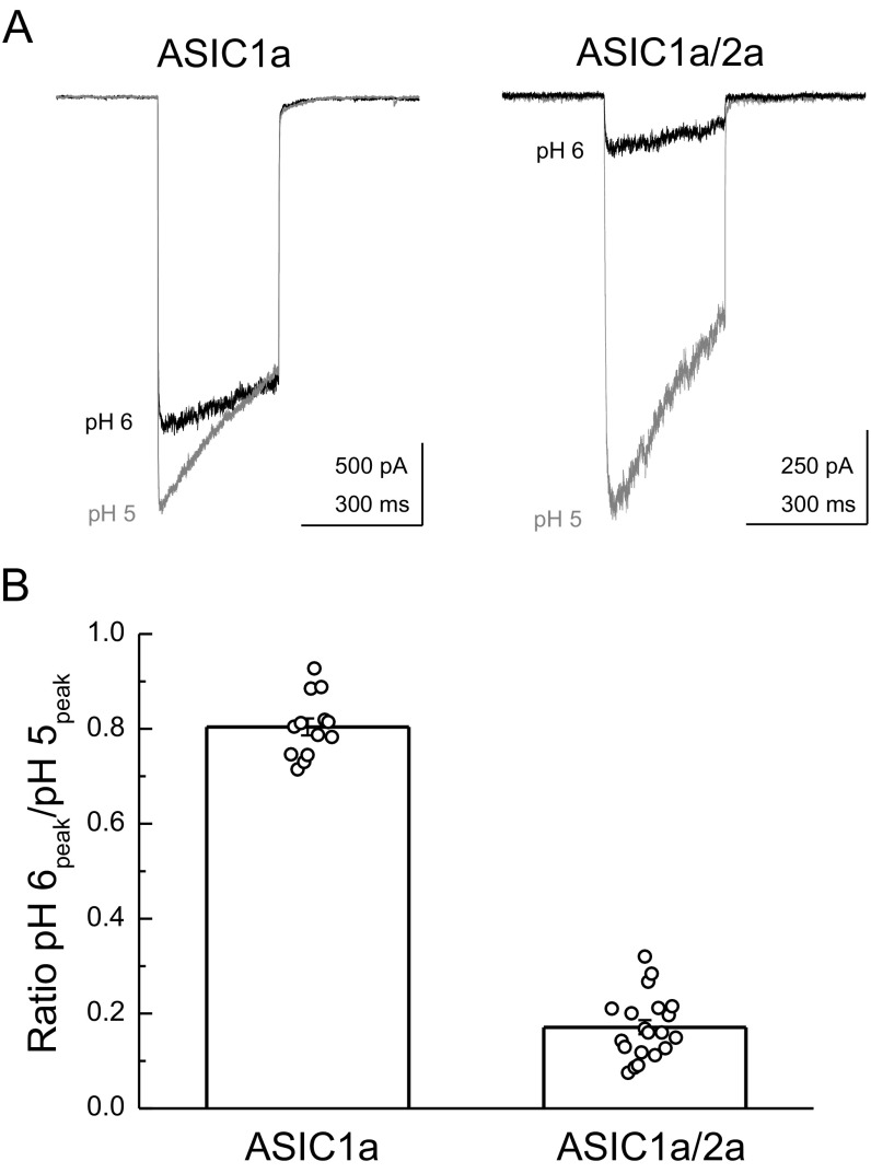 Fig. S3.