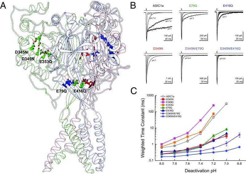 Fig. 7.