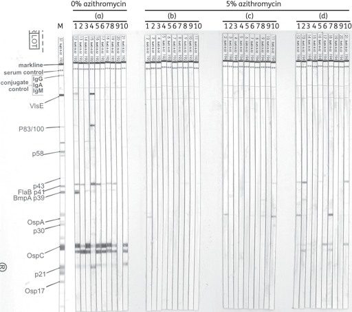 Figure 2.