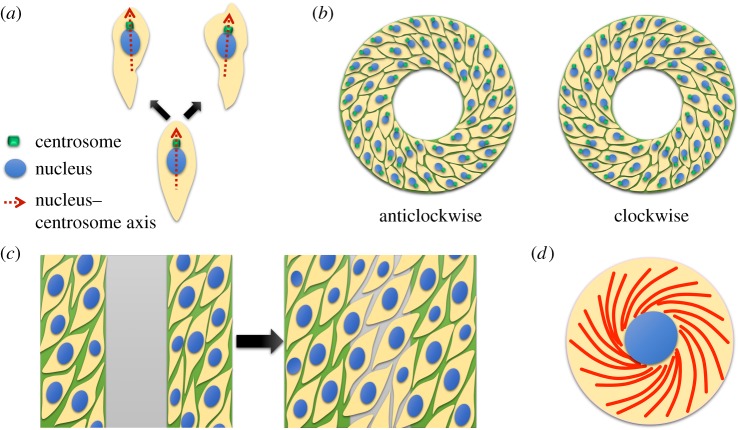 Figure 2.