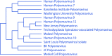 FIG 1