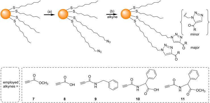 Scheme 3