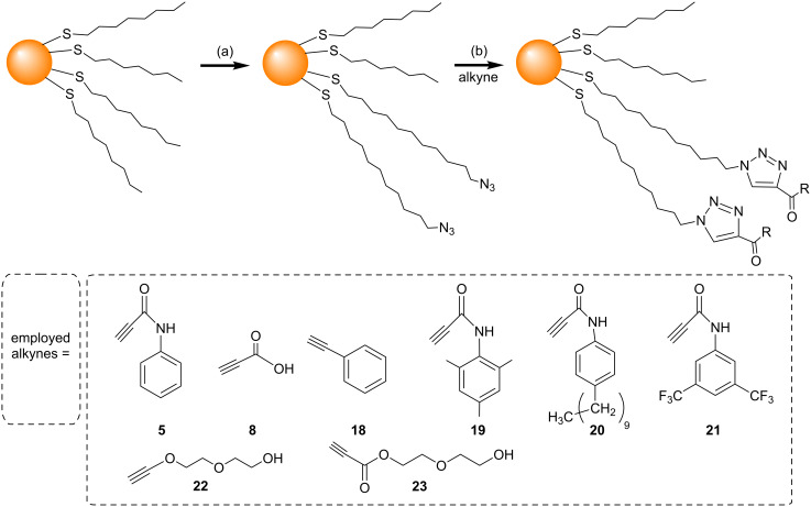 Scheme 8