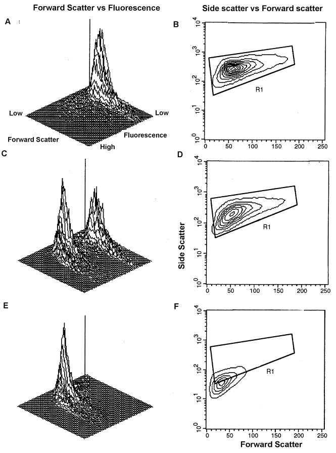 FIG. 1