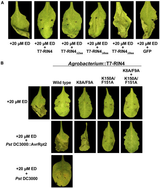 Figure 6.