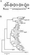 FIG. 1.