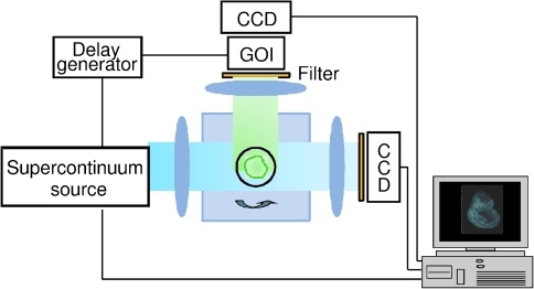 Figure 12