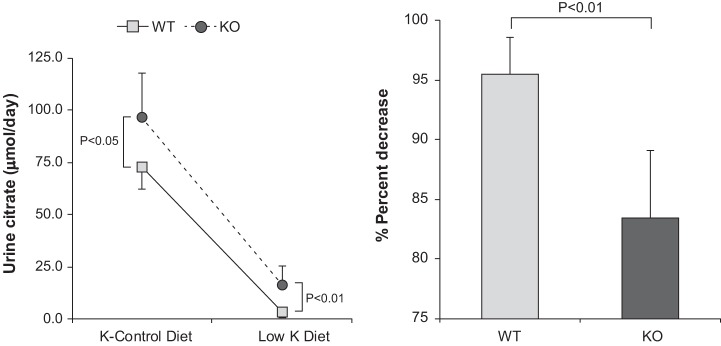 Fig. 12.