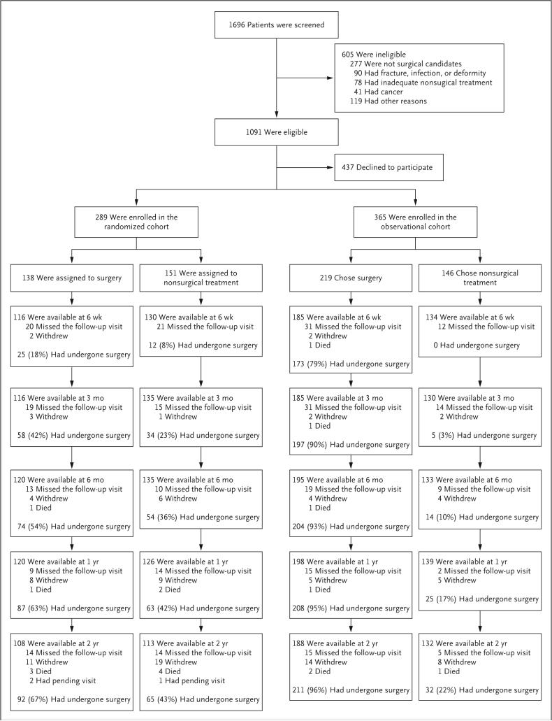 Figure 1 (facing page)