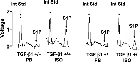 Fig. 9.