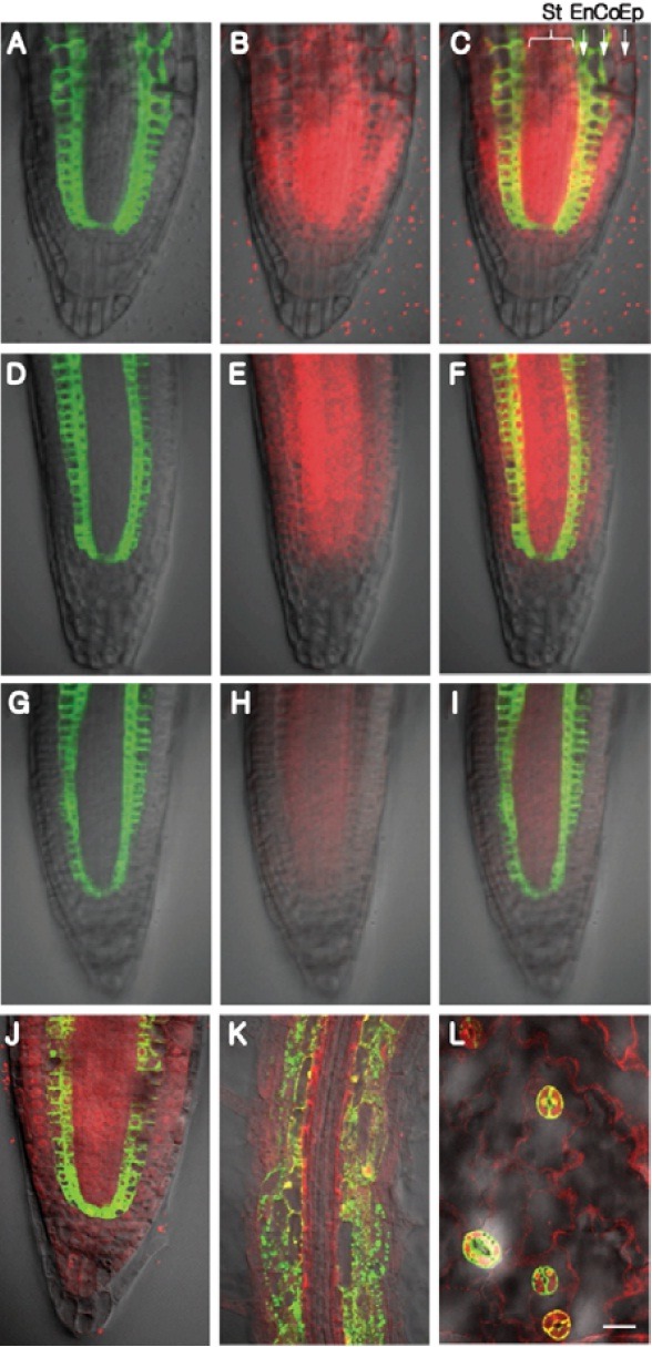 Fig. 3.