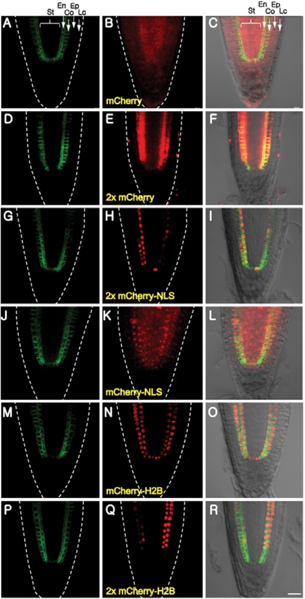 Fig. 2.