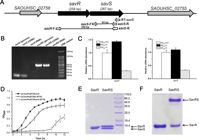 FIG 1