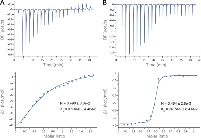 FIG 4