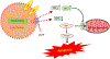 Figure 6: