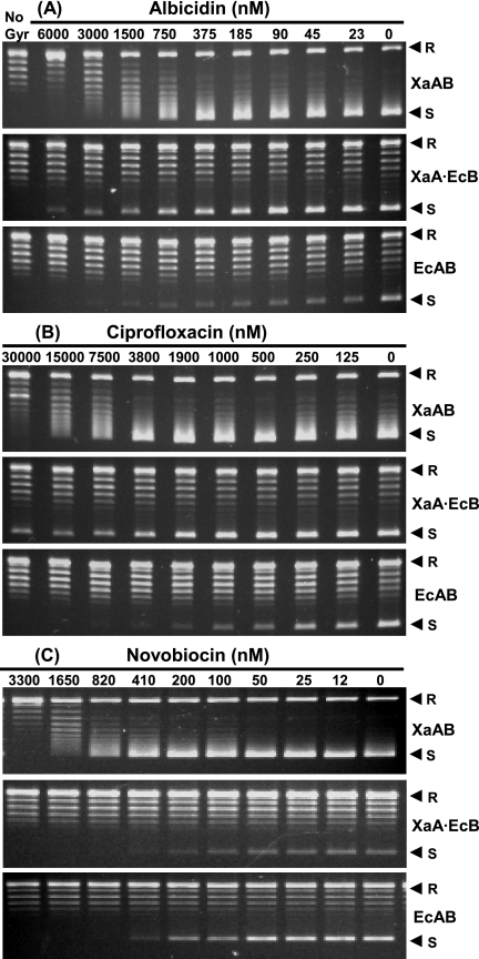 FIG. 4.