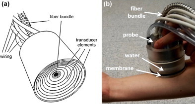 Fig. 1