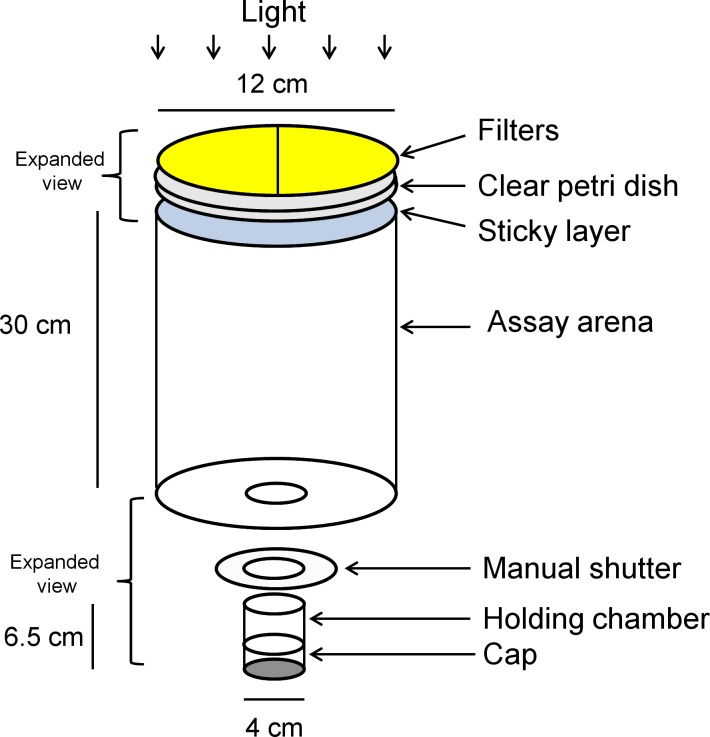 Fig 1