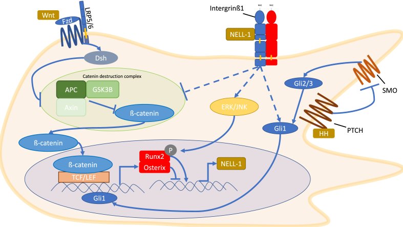 Figure 2