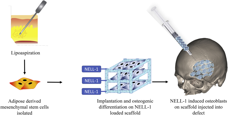 Figure 3