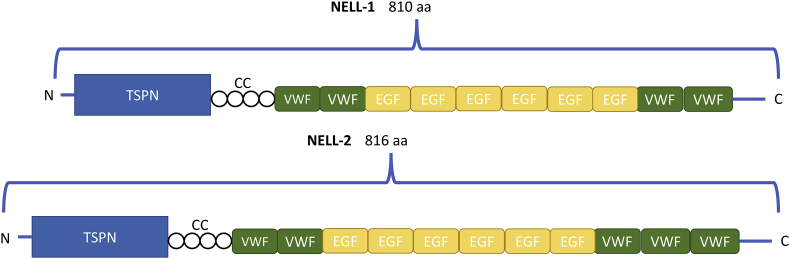 Figure 1