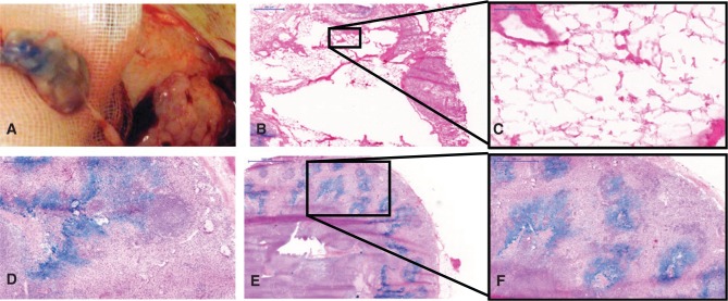 Figure 3: