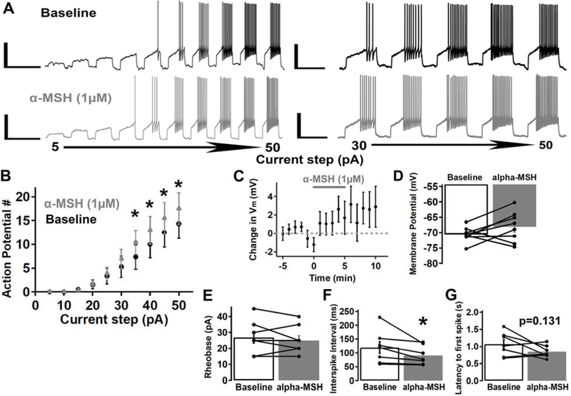 Fig. 7: